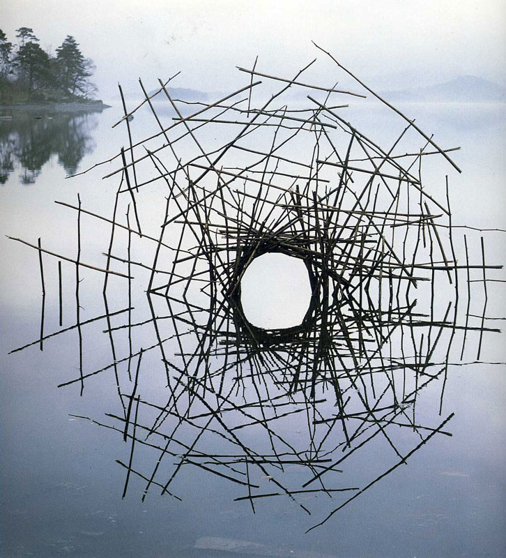 Andy Goldsworthy